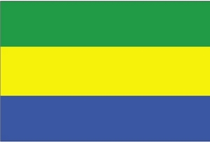 [Image: gabonflag.jpg]