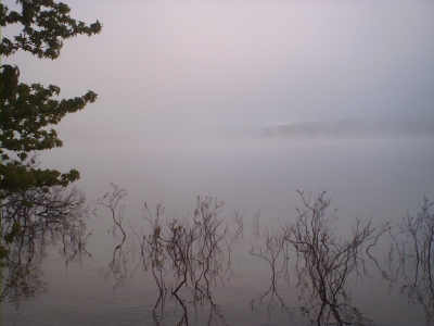 Fog on DeGray Lake 1