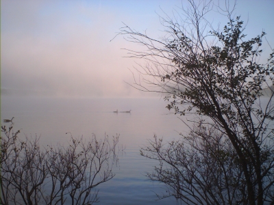 Fog and Ducks on DeGray Lake 3