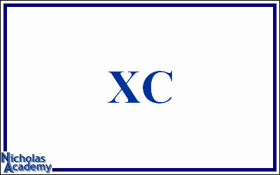 roman numeral XC